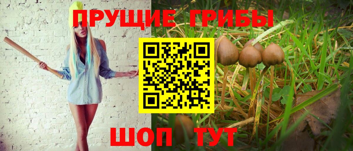 наркошоп  Галлюциногенные грибы GOLDEN TEACHER  Вход с VPN  Шатура 